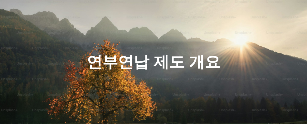 연부연납 제도 개요
