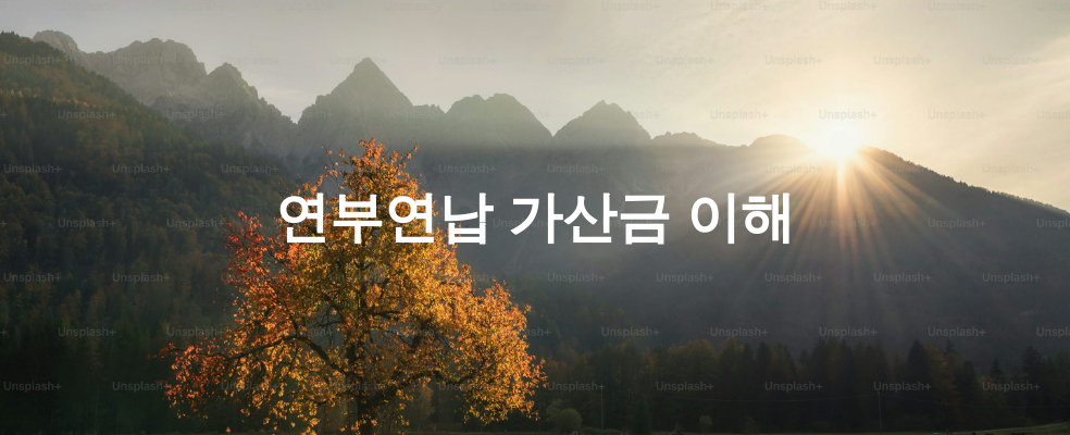 연부연납 가산금 이해