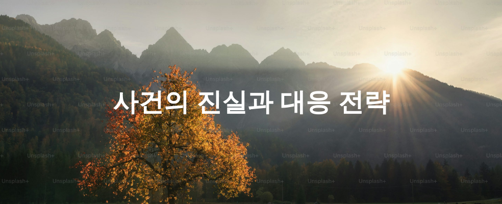 사건의 진실과 대응 전략