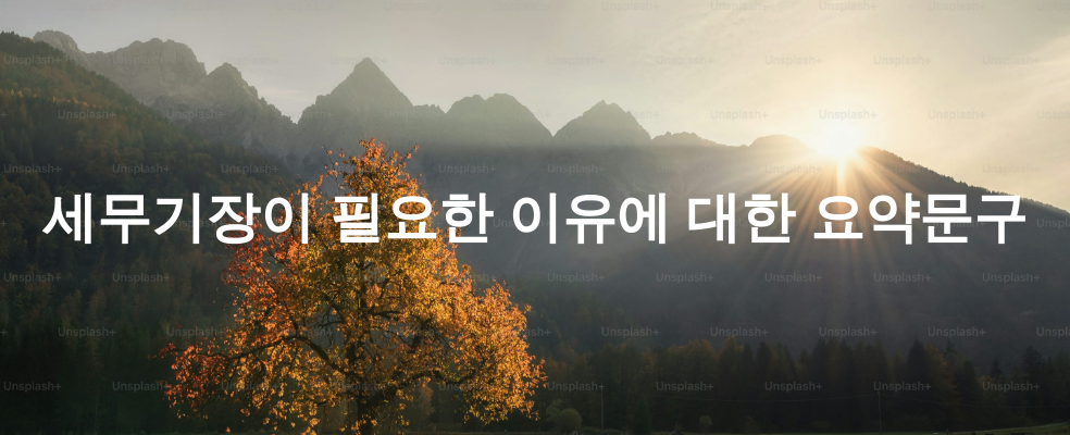 세무기장이 필요한 이유에 대한 요약문구