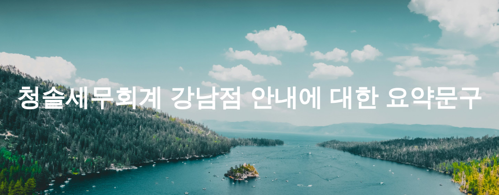 청솔세무회계 강남점 안내에 대한 요약문구
