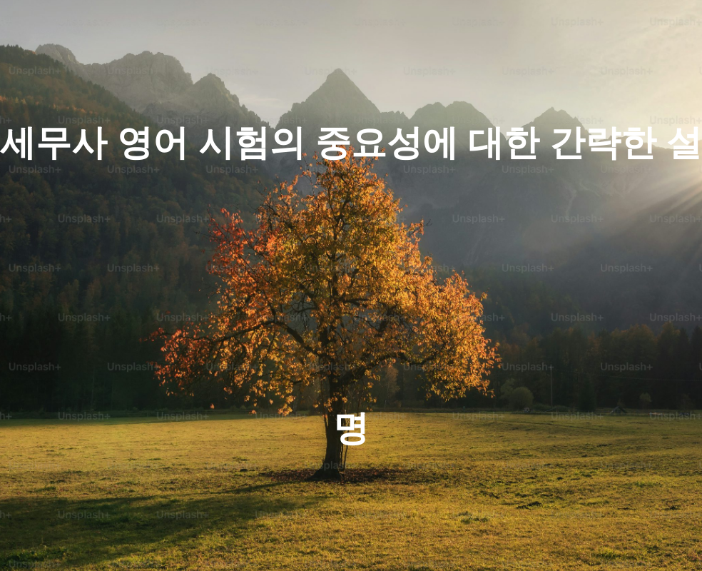 세무사 영어 시험의 중요성에 대한 간략한 설명