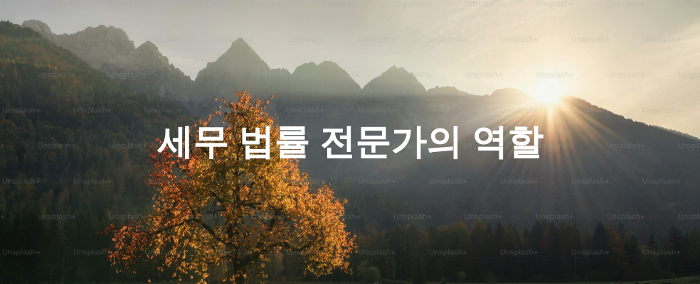 세무 법률 전문가의 역할
