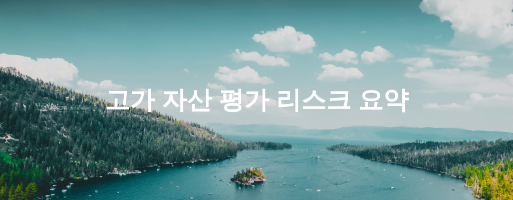 고가 자산 평가 리스크 요약