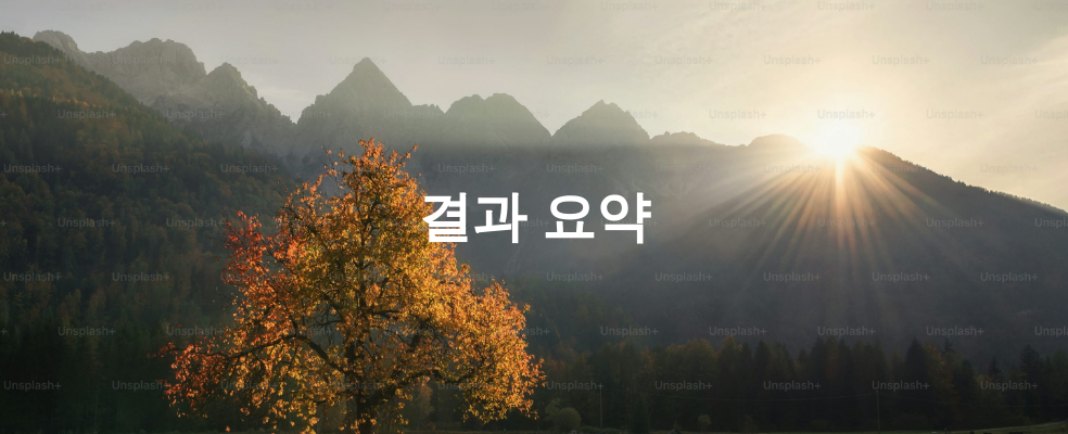 결과 요약