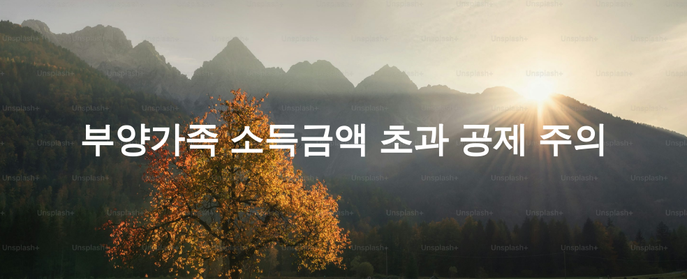 부양가족 소득금액 초과 공제 주의