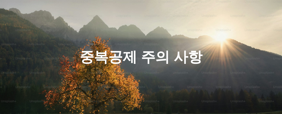 중복공제 주의 사항