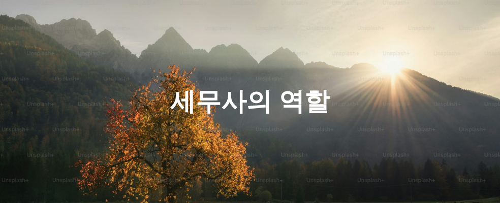 세무사의 역할