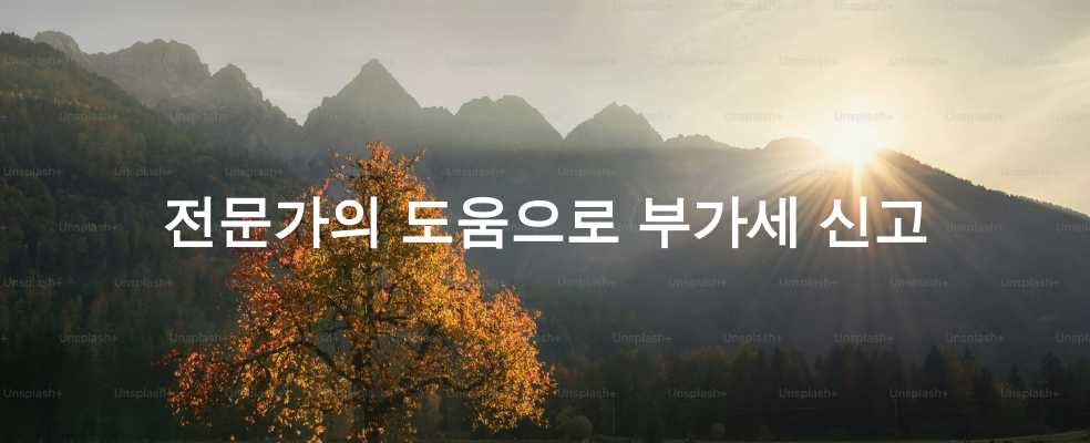 전문가의 도움으로 부가세 신고