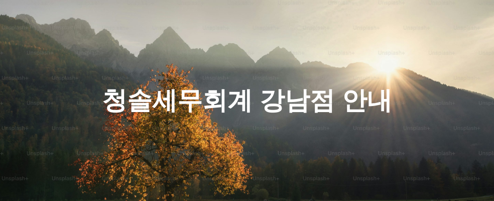 청솔세무회계 강남점 안내