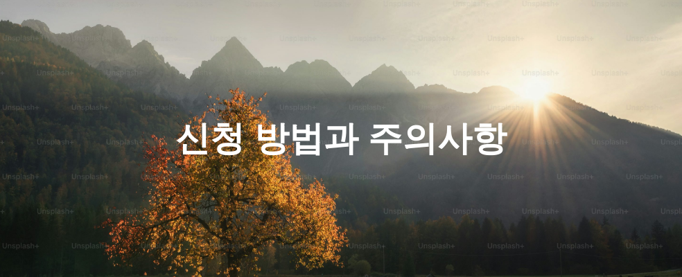 신청 방법과 주의사항