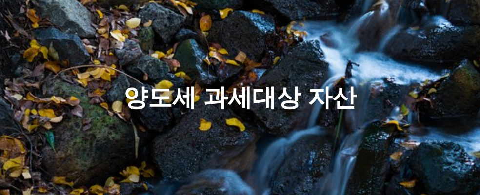 양도세 과세대상 자산