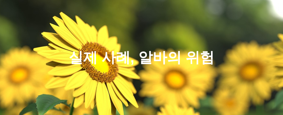 실제 사례, 알바의 위험