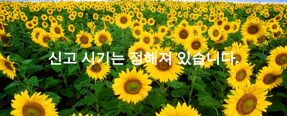 신고 시기는 정해져 있습니다.