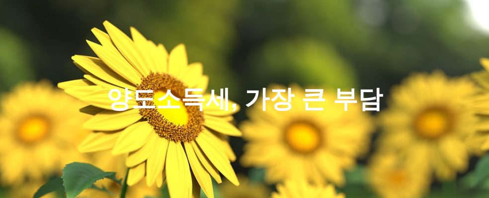 양도소득세, 가장 큰 부담