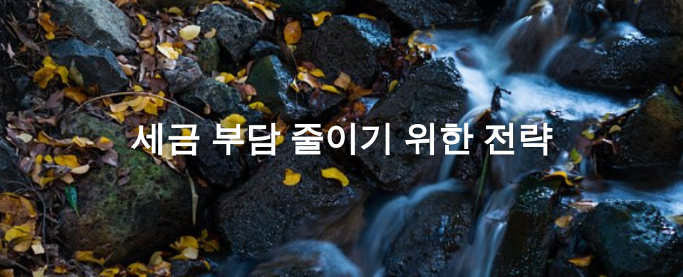 세금 부담 줄이기 위한 전략
