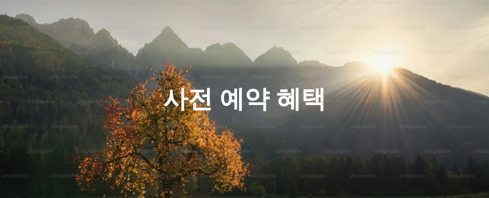 사전 예약 혜택