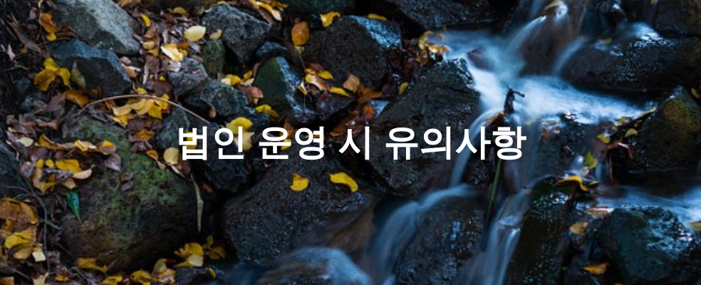 법인 운영 시 유의사항