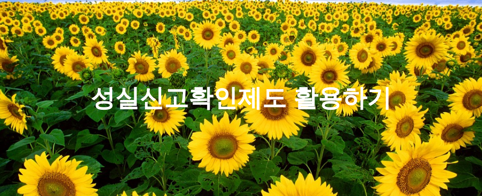 성실신고확인제도 활용하기