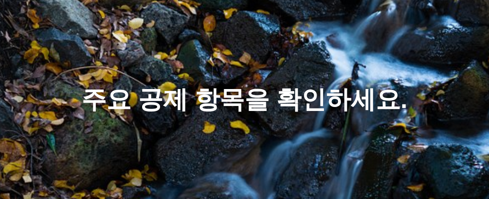 주요 공제 항목을 확인하세요.