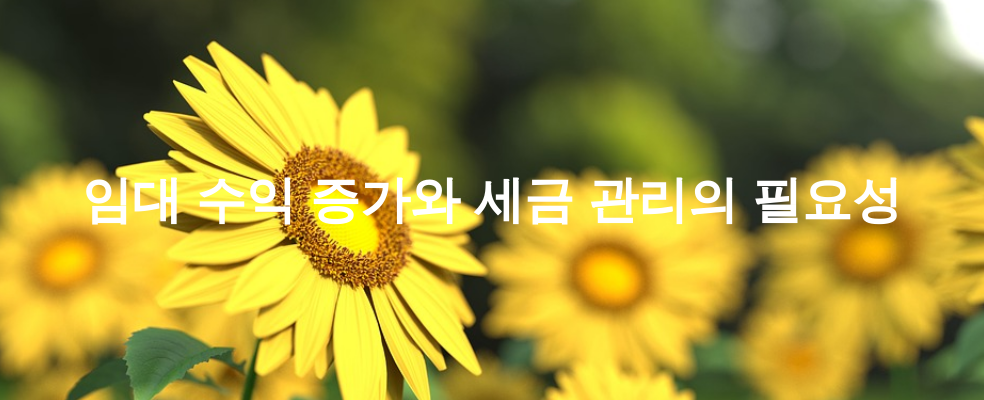 임대 수익 증가와 세금 관리의 필요성