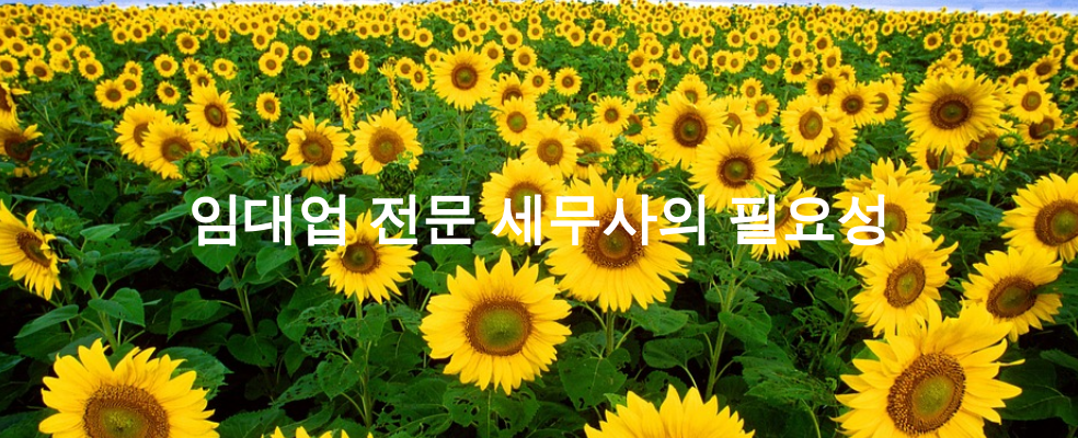 임대업 전문 세무사의 필요성