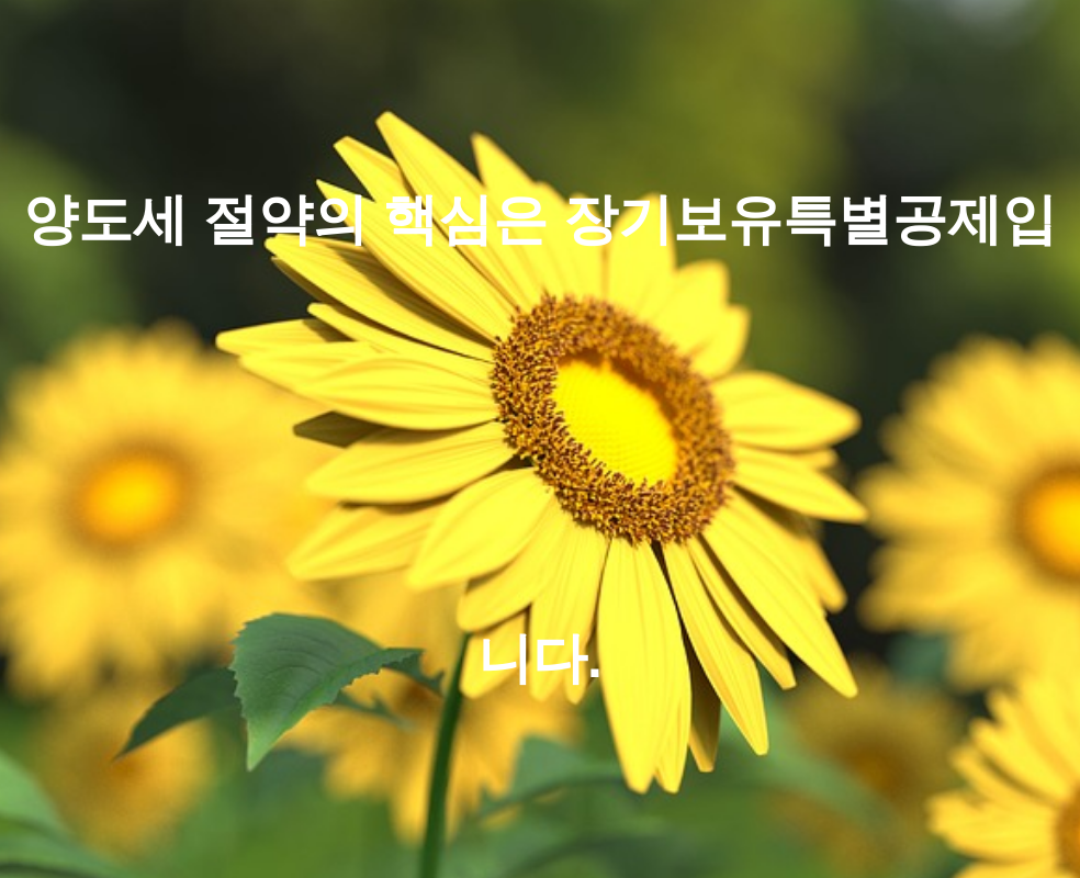 양도세 절약의 핵심은 장기보유특별공제입니다.