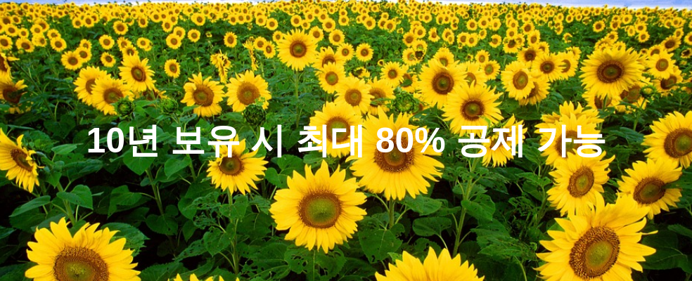 10년 보유 시 최대 80% 공제 가능