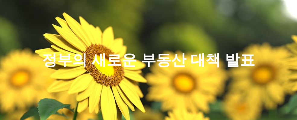 정부의 새로운 부동산 대책 발표
