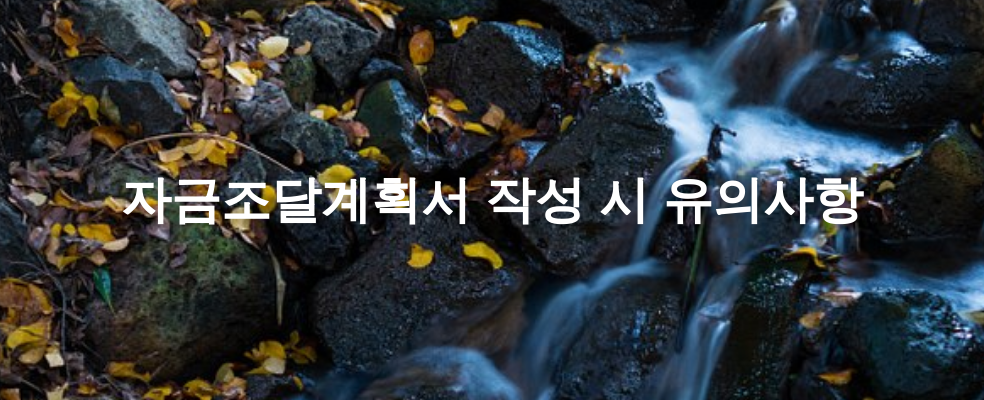자금조달계획서 작성 시 유의사항
