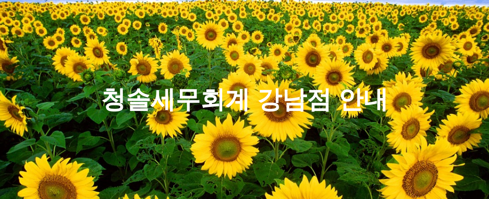 청솔세무회계 강남점 안내