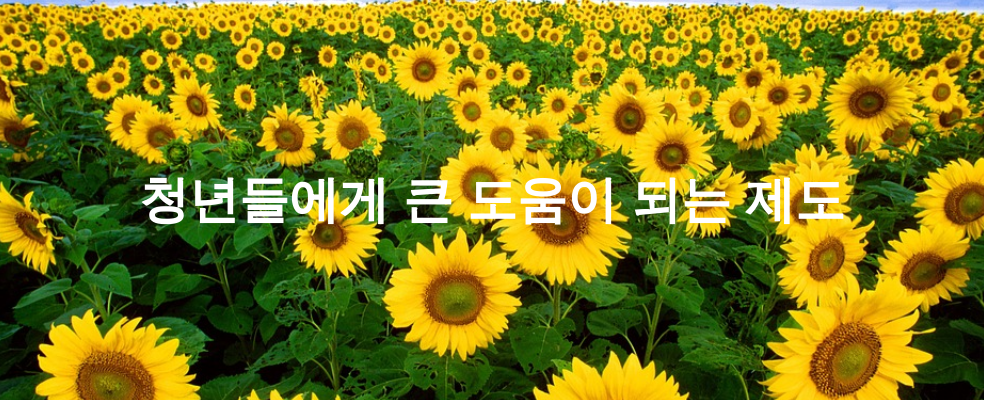 청년들에게 큰 도움이 되는 제도