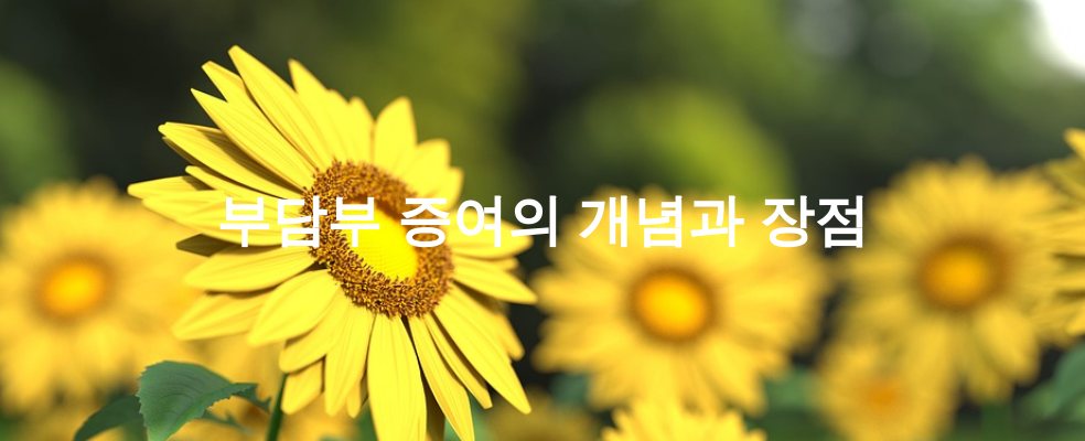 부담부 증여의 개념과 장점