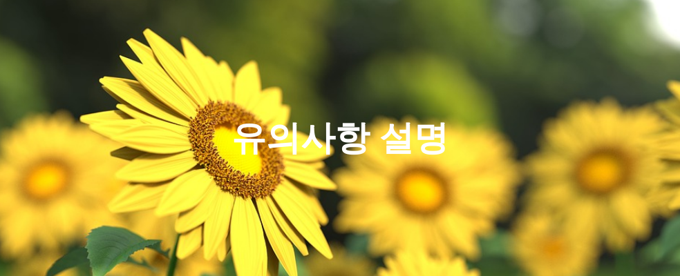 유의사항 설명