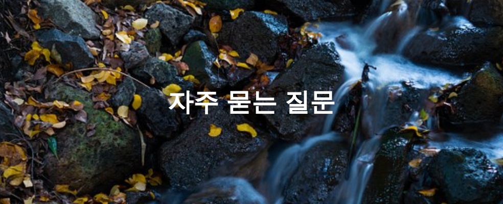 자주 묻는 질문