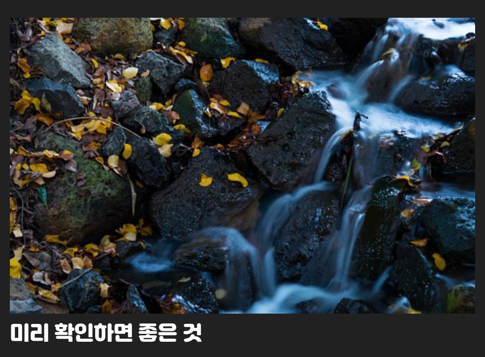 미리 확인하면 좋은 것