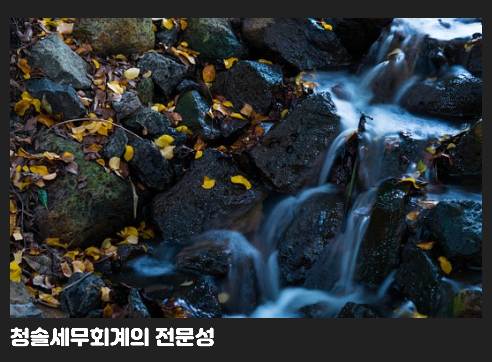 청솔세무회계의 전문성