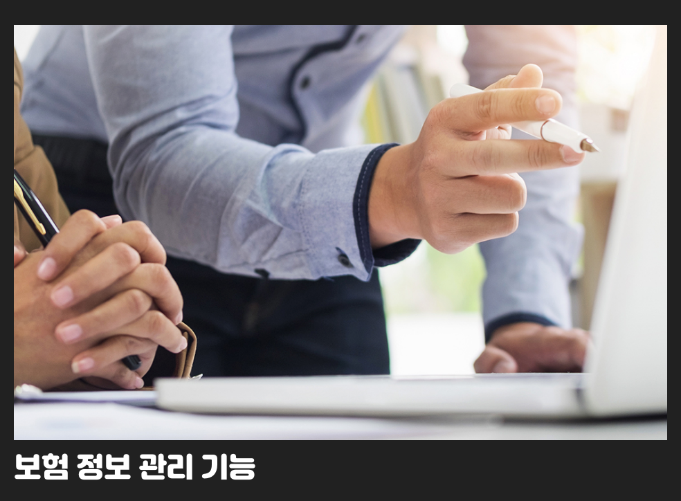 보험 정보 관리 기능