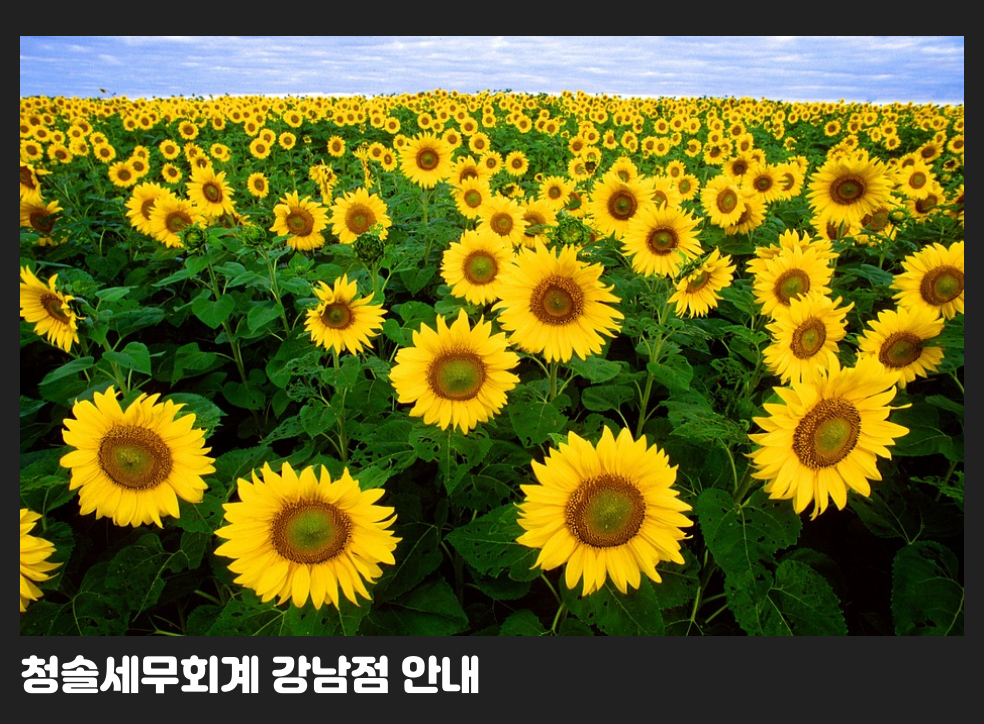청솔세무회계 강남점 안내
