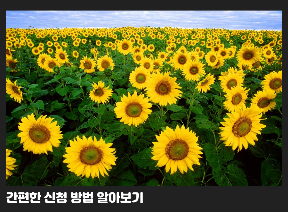 간편한 신청 방법 알아보기