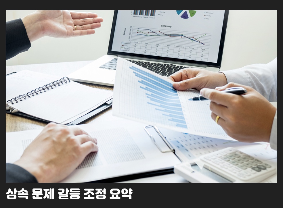 상속 문제 갈등 조정 요약