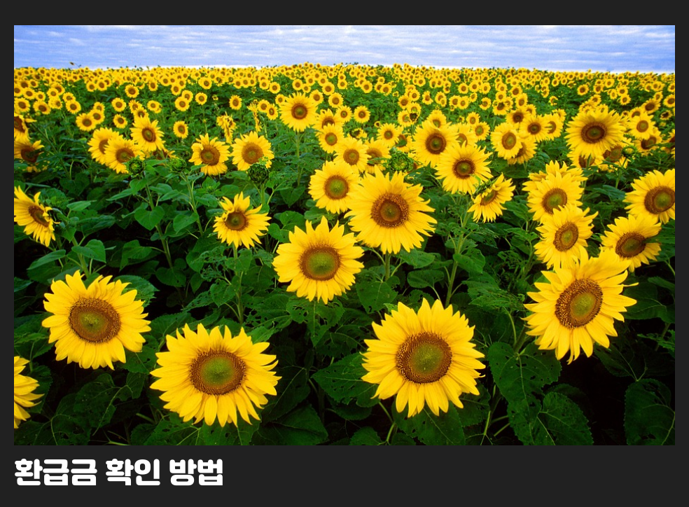 환급금 확인 방법