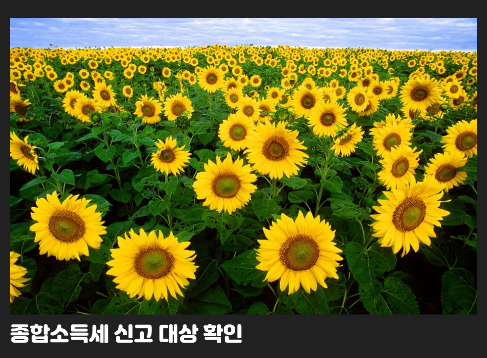 종합소득세 신고 대상 확인