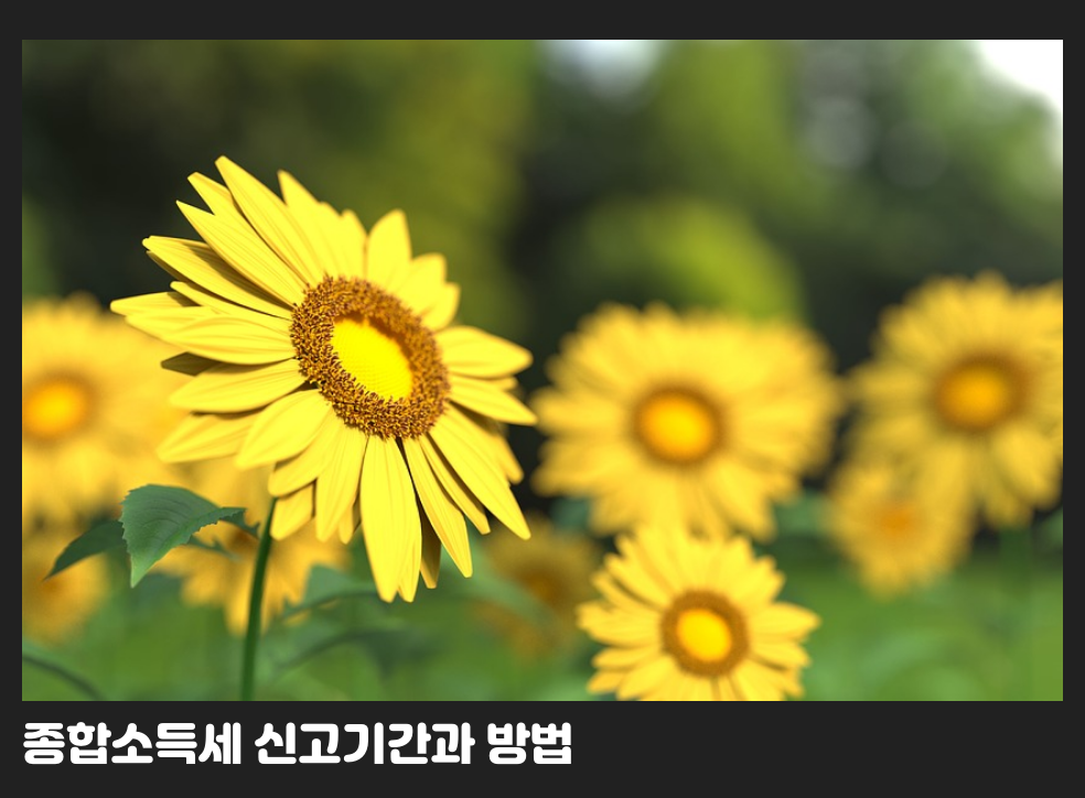 종합소득세 신고기간과 방법