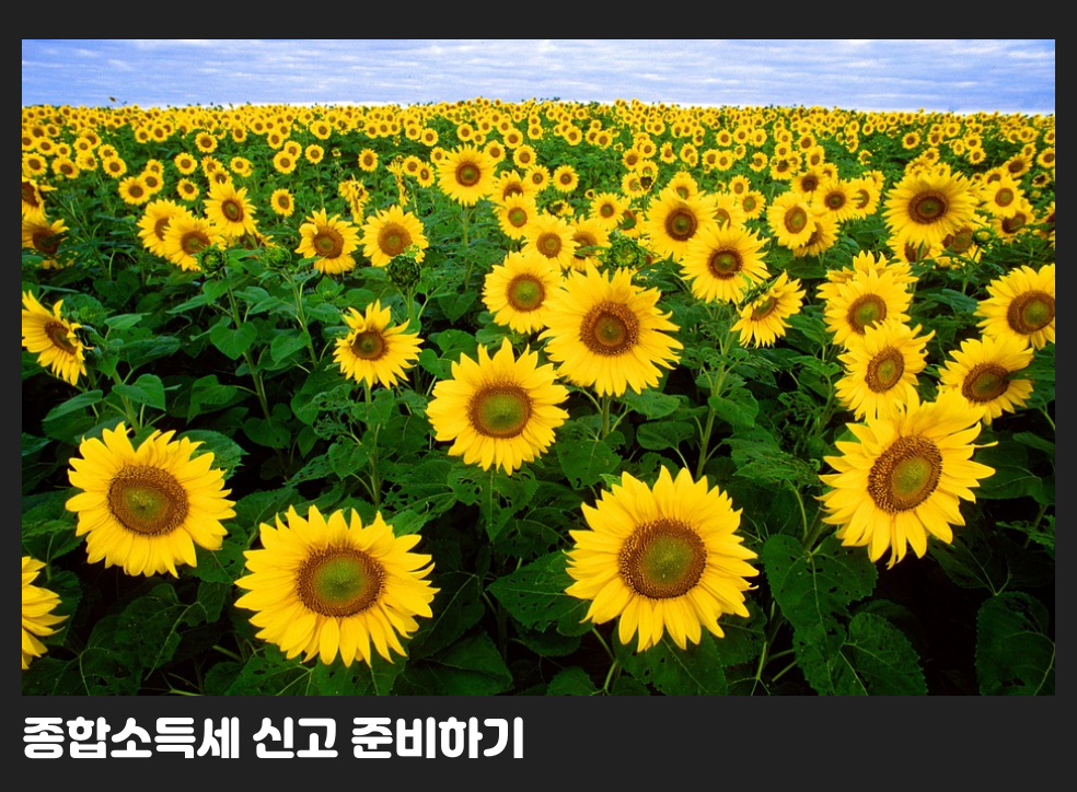 종합소득세 신고 준비하기
