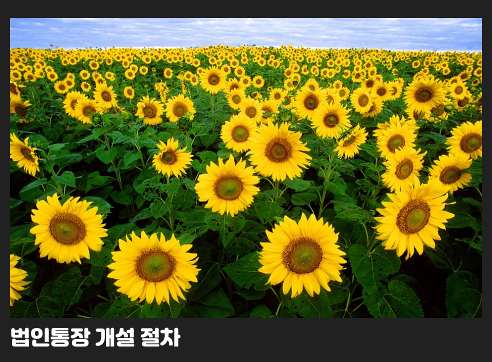 법인통장 개설 절차