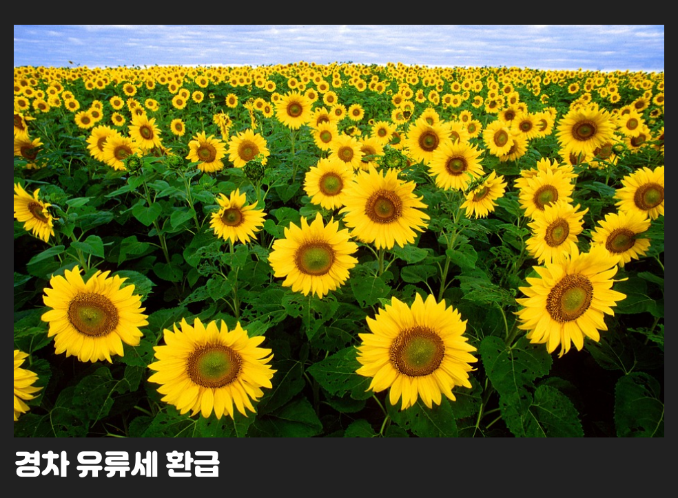 경차 유류세 환급