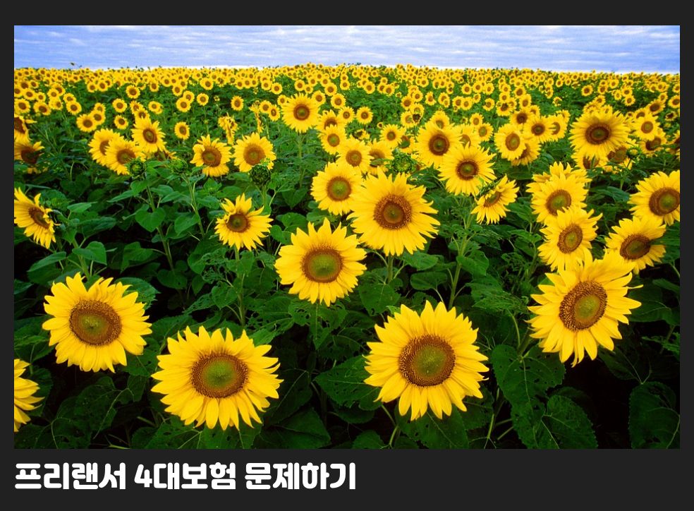 프리랜서 4대보험 문제하기