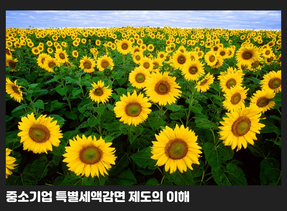 중소기업 특별세액감면 제도의 이해
