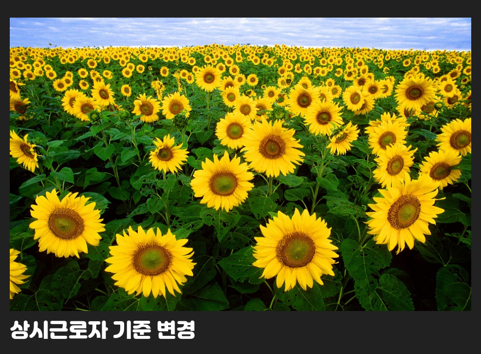 상시근로자 기준 변경